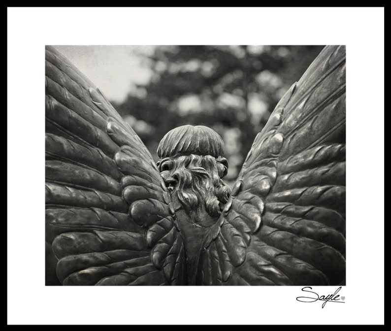 Guardian Angel 14 Black and White Fine Art Photograph, Wall Art, Room Decor, Angel Statue, Angel Wings, Angel Therapy, Watching Over You image 2