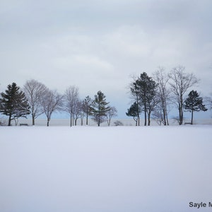 Fotografía artística de árboles invernales del lago Michigan 2, arte para pared, foto del Parque Centenario de Winnetka, fotografía de naturaleza, imagen de Northshore Chicago