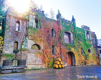 Chateau Montelena Winery Cellar 2 Fine Art Photograph, Wall Art, Napa Valley Winery, Calistoga Winery, Wine Country Photo, Gift, Fall Photo