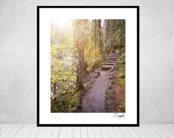 McKenzie River Path Fine Art Photograph, Wall Art, Oregon Image, Gift, Trees Photo, Nature Photography, Divine Forest, Forest Stairs Image