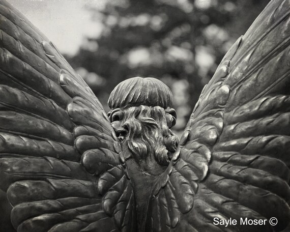 Guardian Angel 14 Black And White Fine Art Photograph Wall Etsy