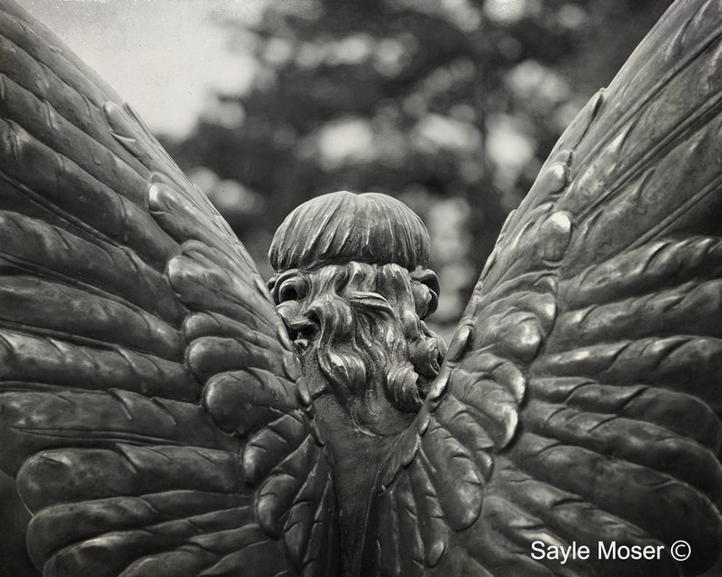 Guardian Angel 14 Black and White Fine Art Photograph, Wall Art, Room Decor, Angel Statue, Angel Wings, Angel Therapy, Watching Over You image 1