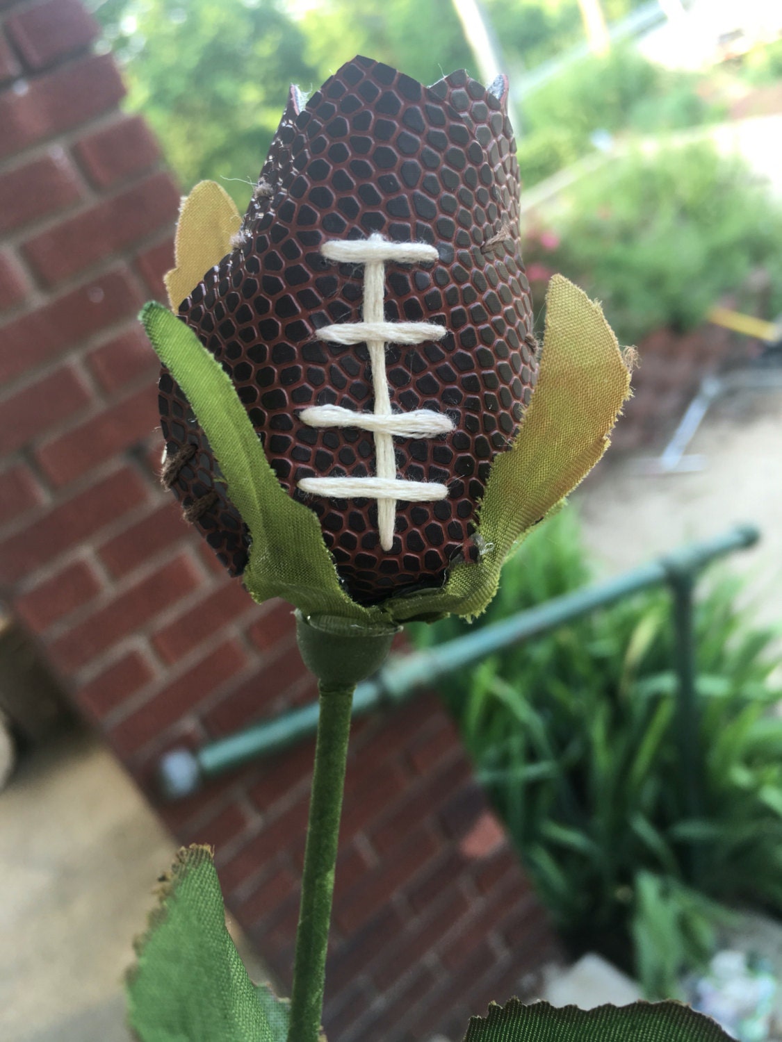 Football Long Stem Roses Football Flowers Made From Real Etsy