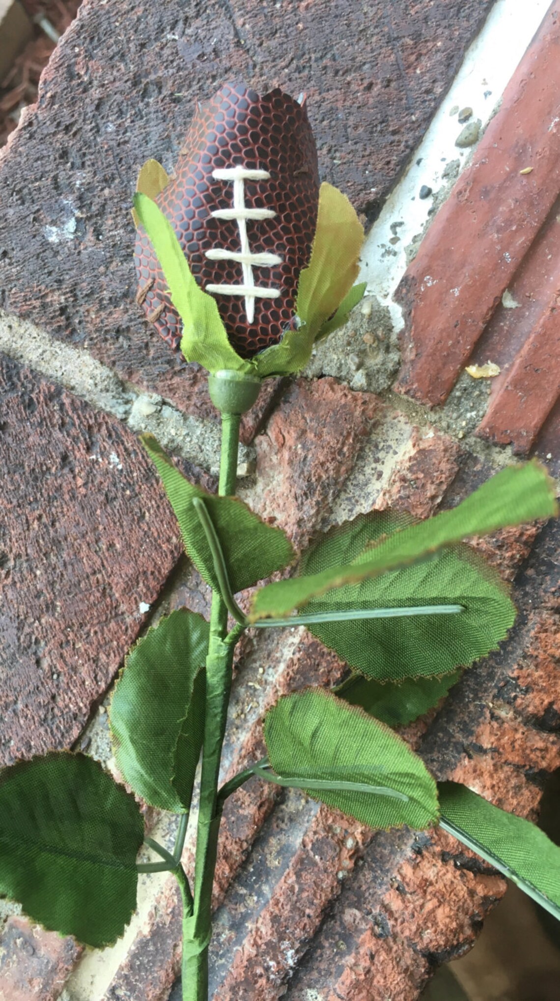 Football Long Stem Roses Football Flowers Made From Real Etsy