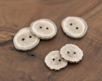 Natural Deer Antler Buttons - Small to Medium Size - Set of 5