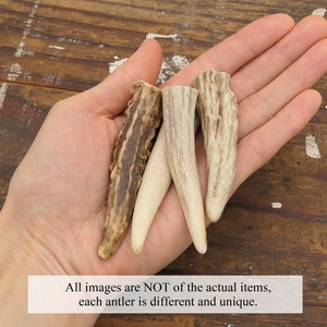 Deer Antler Tip Necklace Leather Wrapped Horn Pendant Boho Gypsy image 4