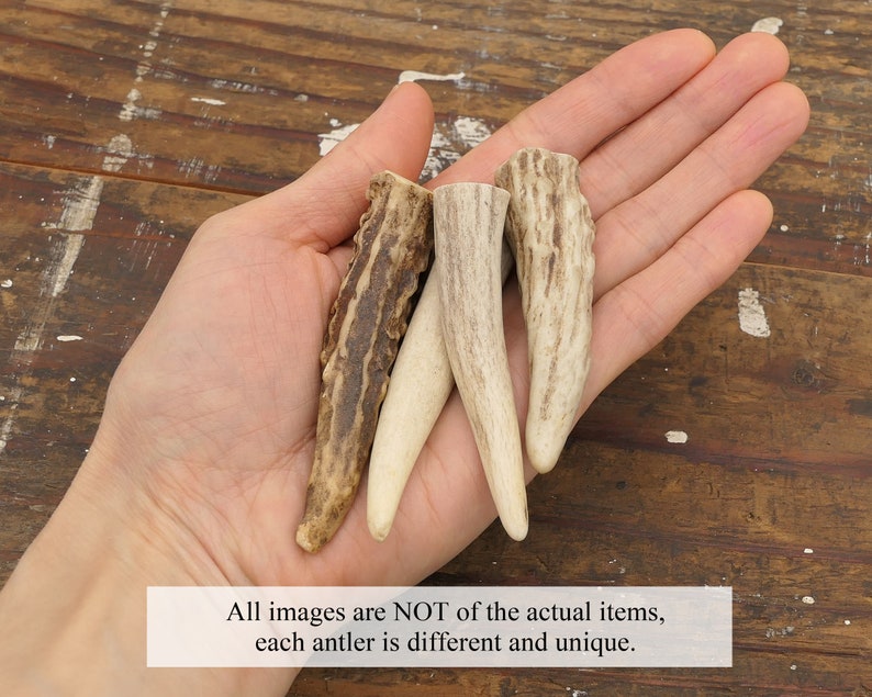 Deer Antler Tip Necklace Leather Wrapped Horn Pendant Boho Gypsy image 4