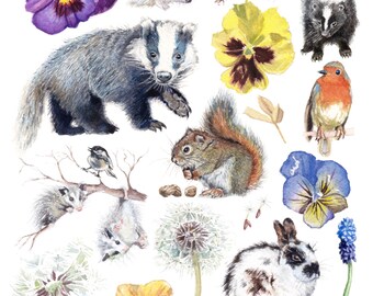 Impresión de criaturas del bosque