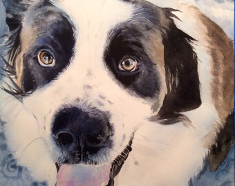 Retrato personalizado de la mascota