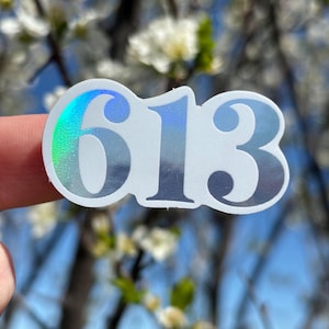 May include: A white sticker with the numbers 613 in a silver iridescent font. The sticker is slightly curved and has a glossy finish.