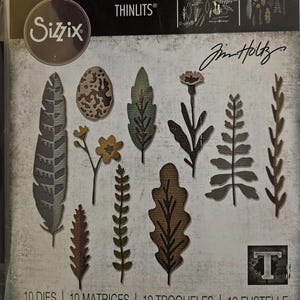 665215 Matrizes de Corte Sizzix Thinlits por Tim Holtz - Pacote com 10 unidades - Funky Nature