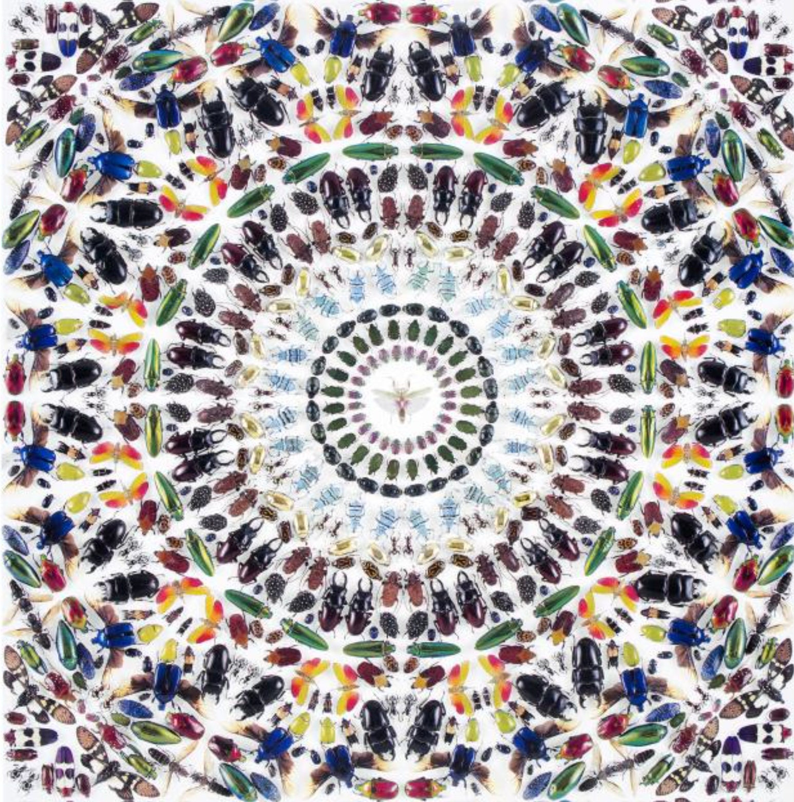 Damienhirstダミアンハースト大型本 付属品完備 Forever (Large)Forever (Large)|ダミアン・ハーストDamien Hirst