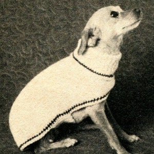 So Easy! Dog Sweater Knitting Pattern Small and Medium Turtleneck, Instant Digital Download pdf, Beginner Hand Knits