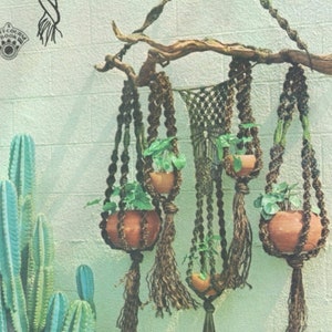 May include: A macrame plant hanger with four terracotta pots holding green plants. The plant hanger is suspended from a natural wooden branch. The background features a white brick wall and a cactus.