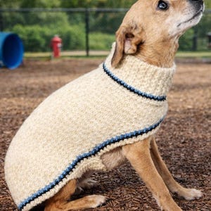 So Easy! Dog Sweater Knitting Pattern Small and Medium Turtleneck, Instant Digital Download pdf, Beginner Hand Knits