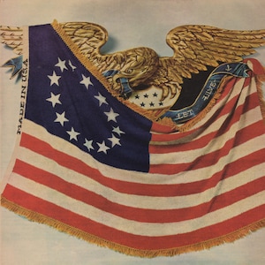 Gebreid dekenpatroon vintage Amerikaanse vlag, e-book direct digitale download, retro 4 juli Afghaans