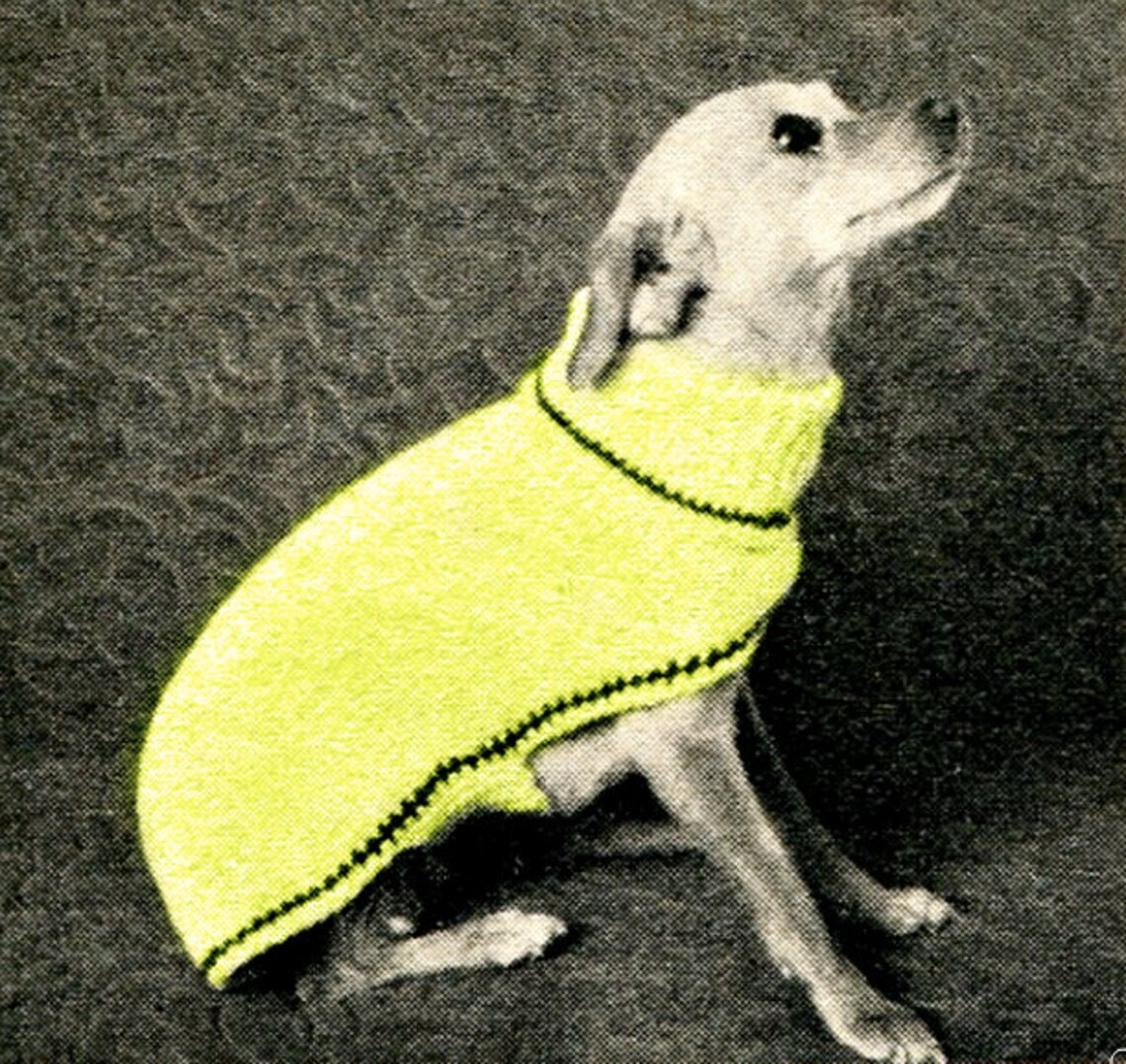 So Easy Dog Sweater Knitting Pattern Small and Medium Etsy