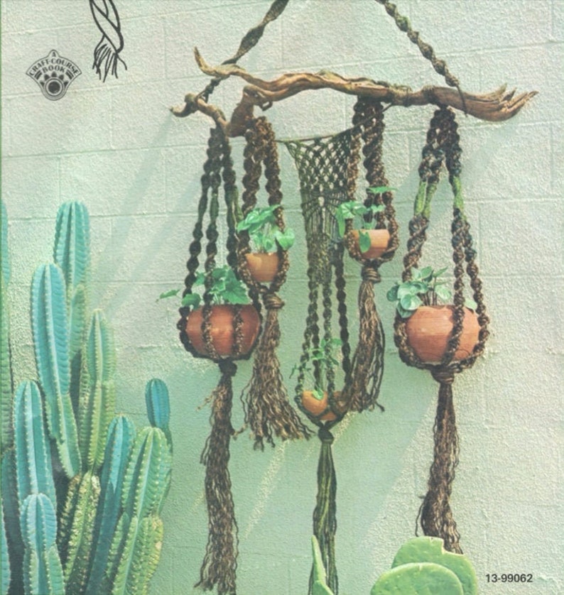 May include: A macrame plant hanger with four terracotta pots holding green plants. The plant hanger is suspended from a natural wooden branch. The background features a white brick wall and a cactus.
