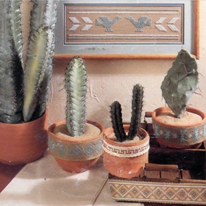 May include: Four potted cactus plants with different shapes and sizes. The pots are terracotta and decorated with geometric patterns. The background is a light brown wall with a framed picture of a bird design.