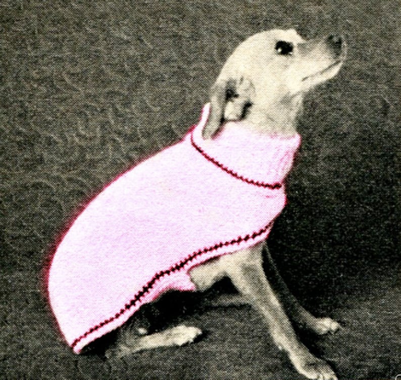 So Easy Dog Sweater Knitting Pattern Small and Medium Etsy