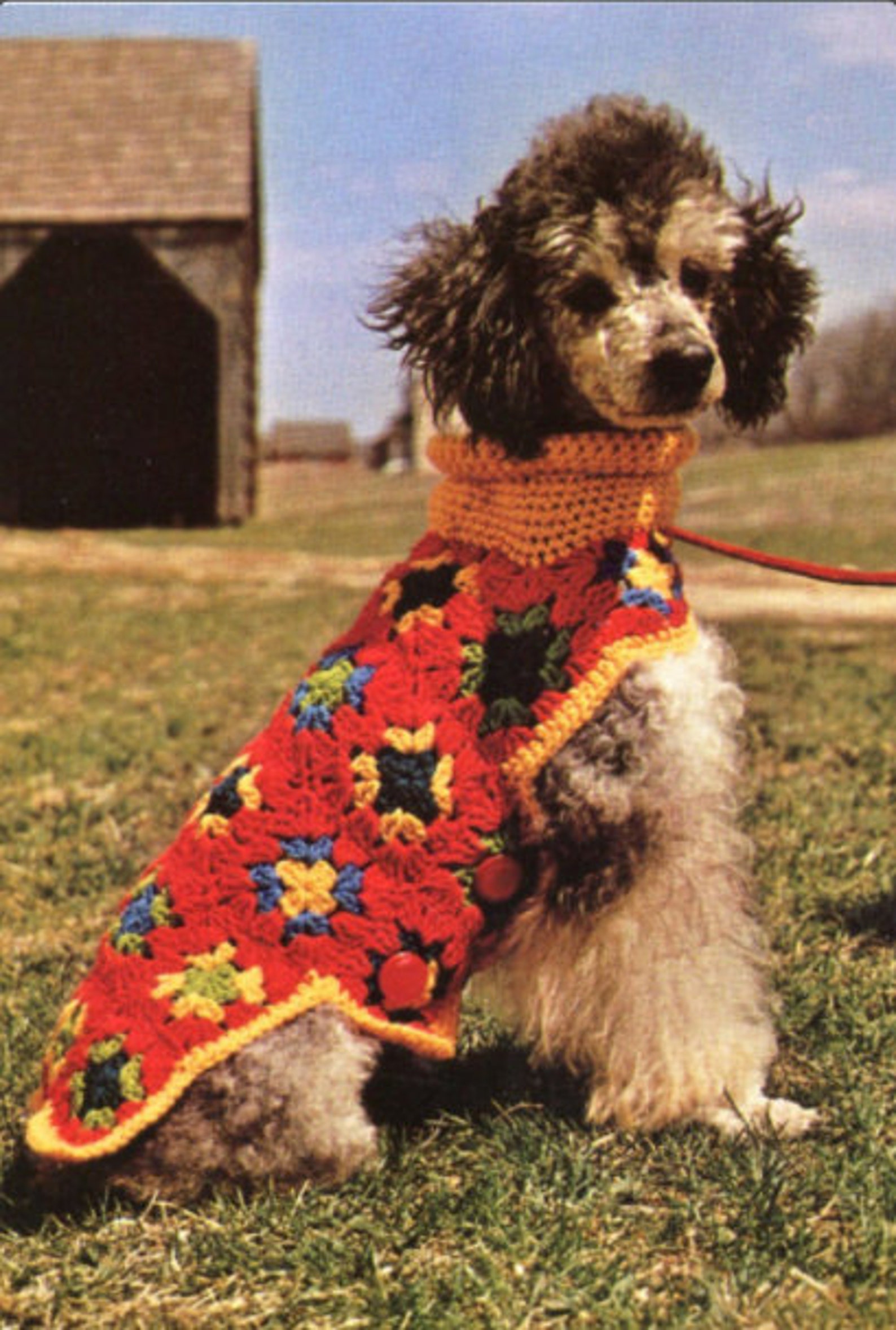Granny Square Medium to Large Dog Sweater Crochet Pattern Etsy Australia