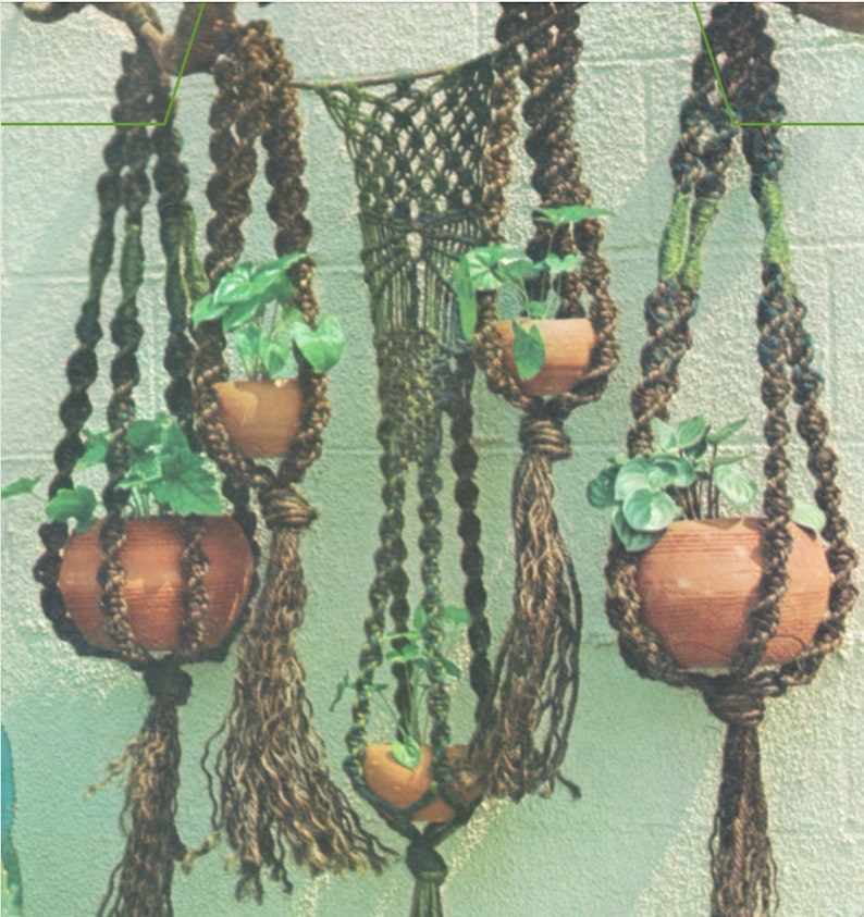 May include: Macrame plant hangers with terracotta pots filled with green plants. The hangers are made of brown and green twisted rope, with a central macrame piece. The pots are suspended at different heights, creating a layered effect.