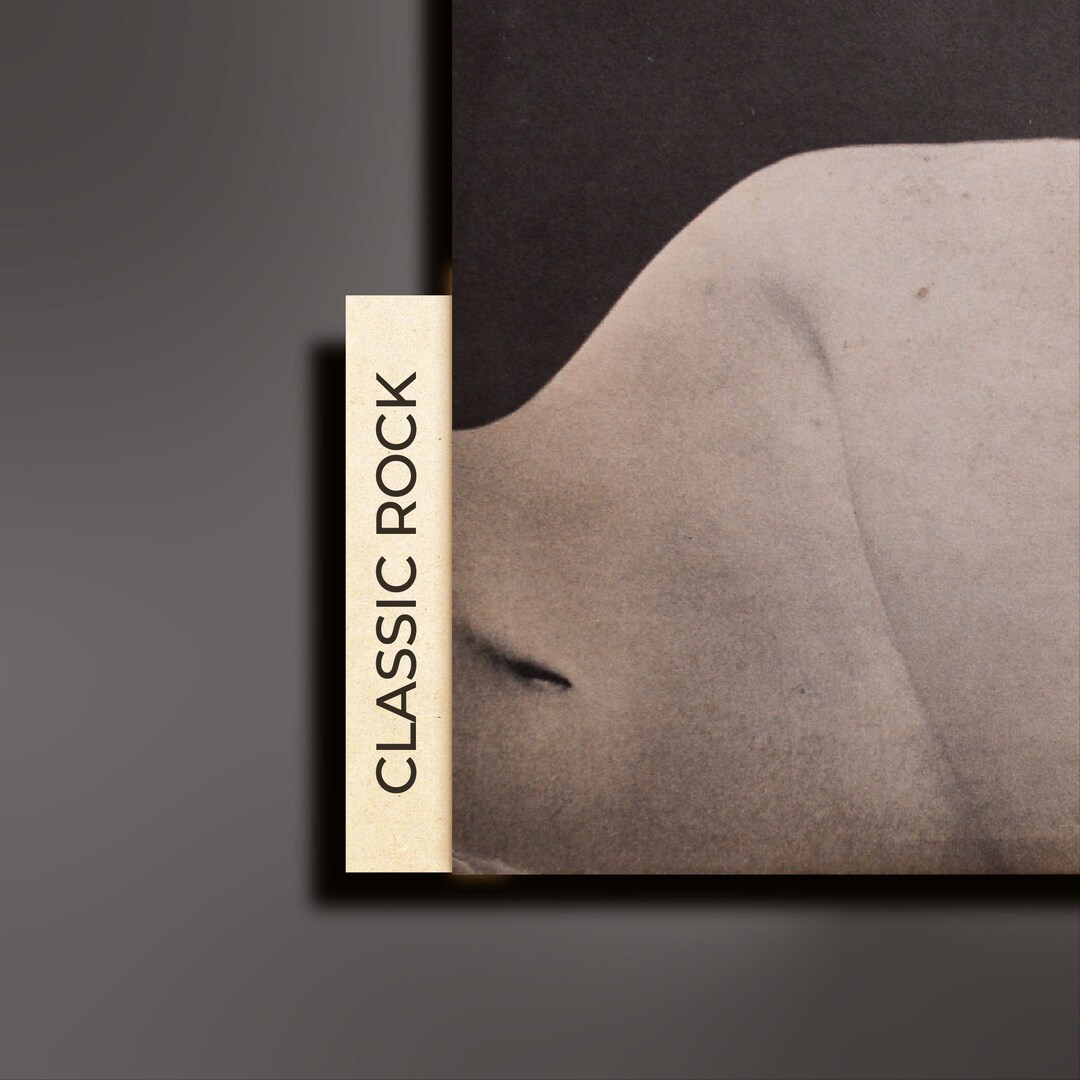 Vinyl Record Dividers for Shelf Style Storage à La Carte Etsy