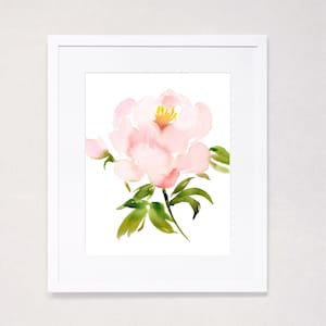 Single Pale Peony Watercolor Art Print