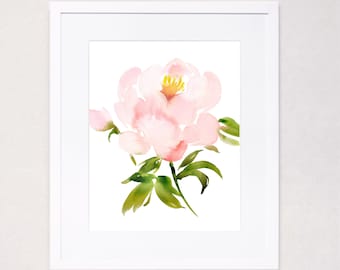 Single Pale Peony Watercolor Art Print