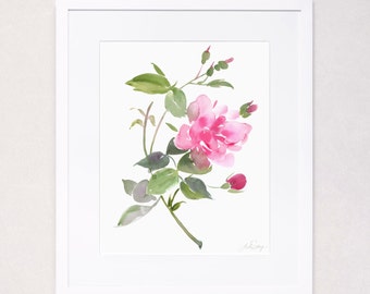 Botanical Floral Study No. 4 (Watercolor Art Print)