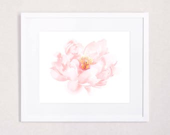 Blush Fading Peony Floral Watercolor Art Print