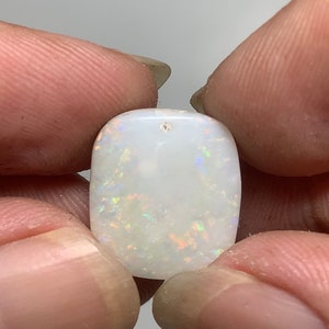 7.27 ct Coober Pedy Opal Fossil Shell - Natural Back