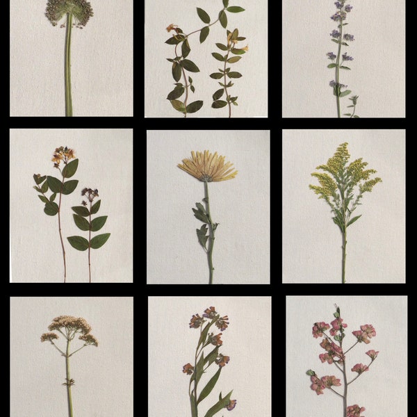 Restoration Hardware Etsy