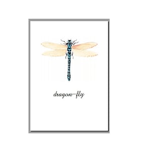 Könnte beinhalten: Eine Aquarell-Illustration einer Libelle mit blauem und schwarzem Körper und hellbraunen Flügeln. Der Text "dragon-fly" steht unter der Libelle.