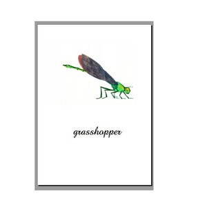Könnte beinhalten: Eine Illustration einer grünen und roten Libelle mit schwarzen Flügeln auf weißem Hintergrund. Das Wort "grasshopper" steht unter der Libelle.