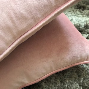 May include: Two pink velvet throw pillows with a light pink trim. The pillows are on a gray shaggy rug.