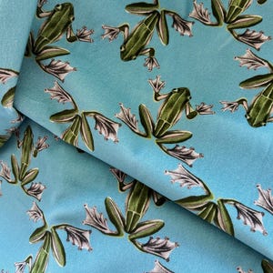 Frog Luxe Velvet Fabric for Home Decor, Velvet Upholstery TOP GRADE