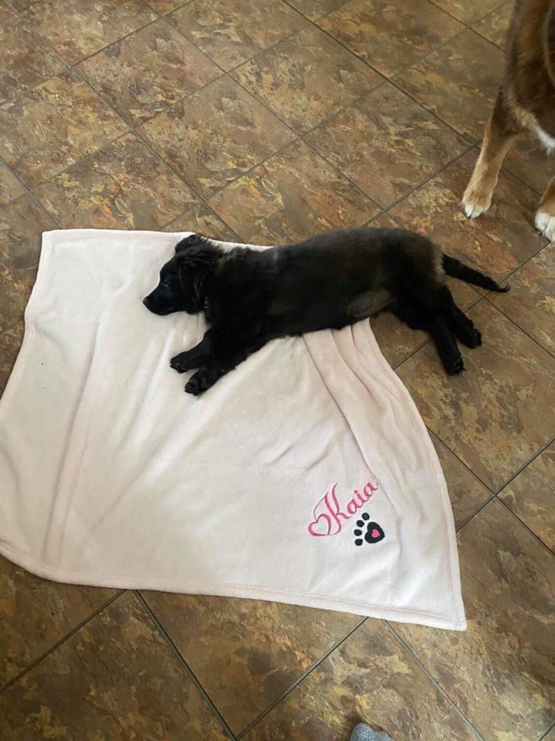 Personalized Dog Blanket Puppy Blanket Comfort Blanket Dog Etsy