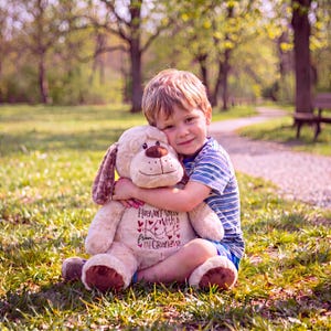 Personalized 16 " Plush Puppy, Baby Keepsake, Ring Bearer Gift, Embroider Buddy