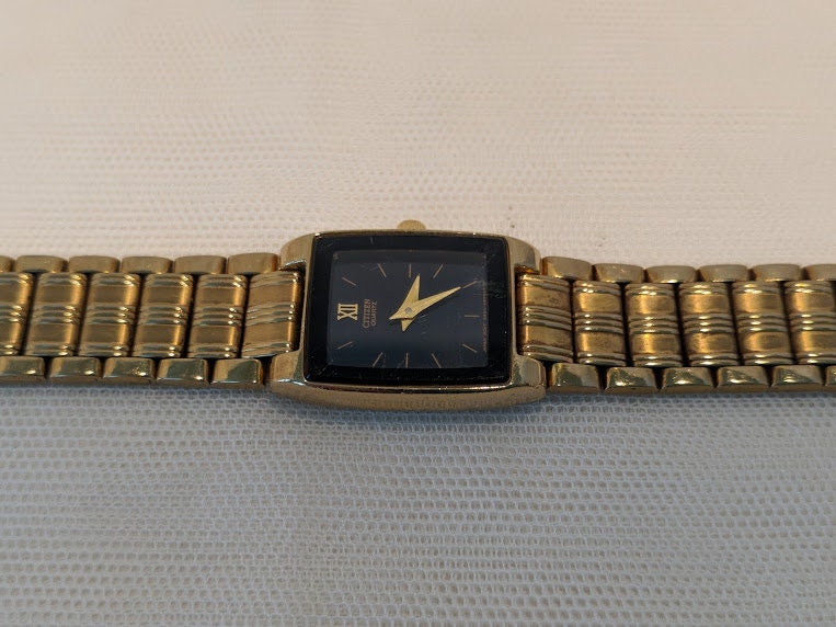 citizen watch gold and silver