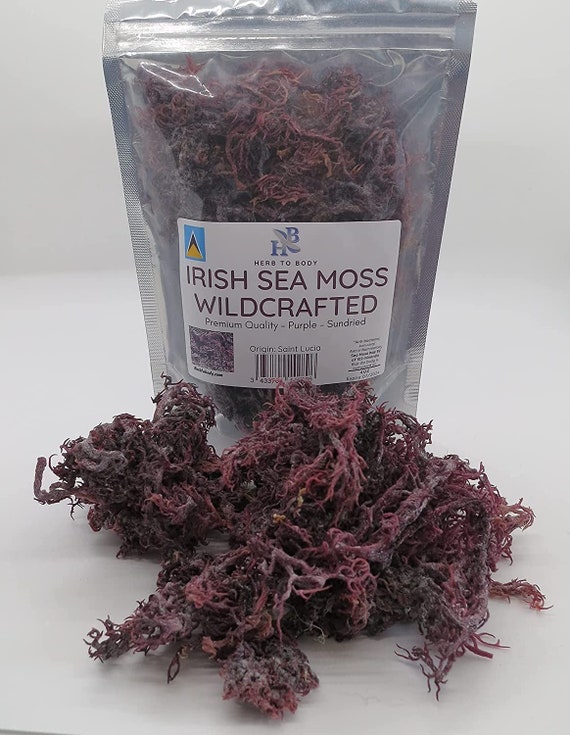 Purple Irish Sea Moss Premium Quality Wildcrafted From St Etsy