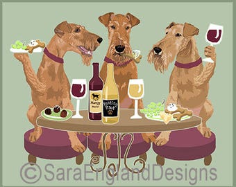 Dogs WINEing - Irish Terrier