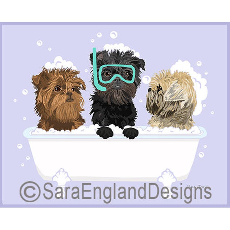 Spa Day Affenpinscher image 1