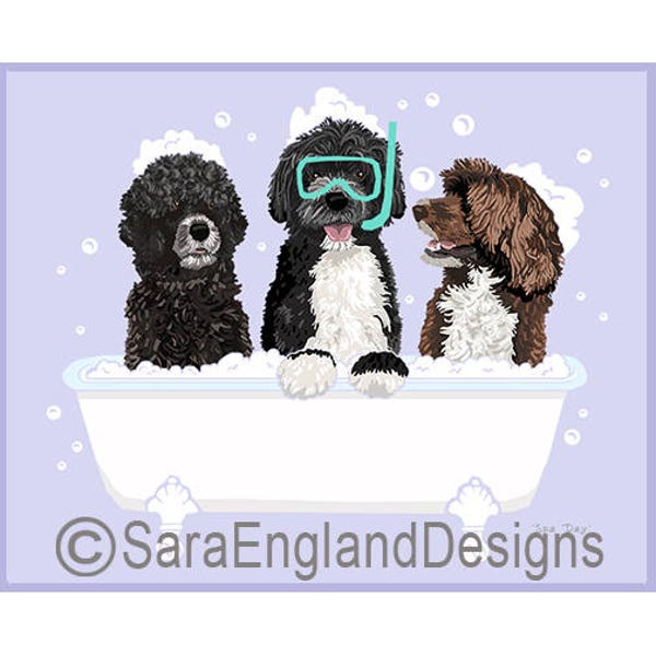 Spa Day - Portuguese Water Dog