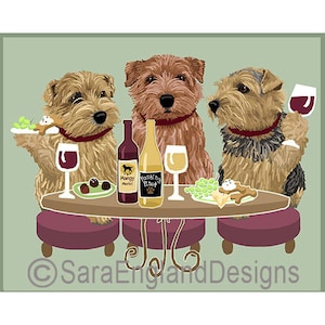 Dogs WINEing - Norfolk Terrier