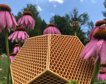 HONEYCOMB - DODECAHEDRON Panel with Biomimicry scaled hexagons STL Digital File