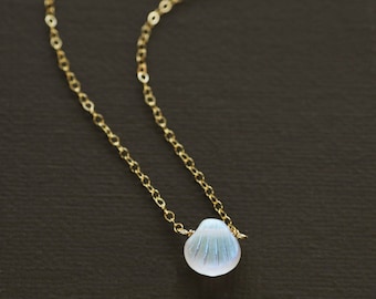 Può includere: Una delicata collana con catena dorata con un piccolo ciondolo a forma di conchiglia iridescente. Il ciondolo è di colore azzurro pallido e bianco, con sottili linee incise sulla sua superficie. La collana è esposta su uno sfondo scuro.