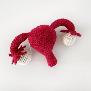 Small Uterus with Fallopian tubes and Ovaries, Midwifery teaching tool, OBGYN, Uterus Birthing Education for class, Female Anatomy organ