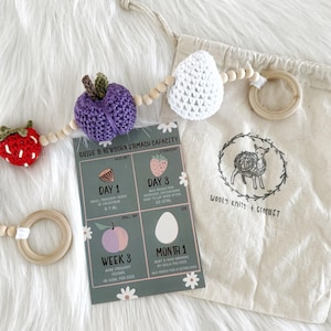 May include: A crochet baby toy with wooden beads, including a red strawberry, purple plum, and white pear. There is a drawstring bag with a sheep logo and a card titled "Guide to Newborn Stomach Capacity".