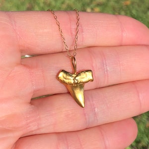 Shark tooth necklace, gold shark tooth pendant, beach necklace, a 14k gold plated sterling silver sharks tooth on a 14k gold filled chain